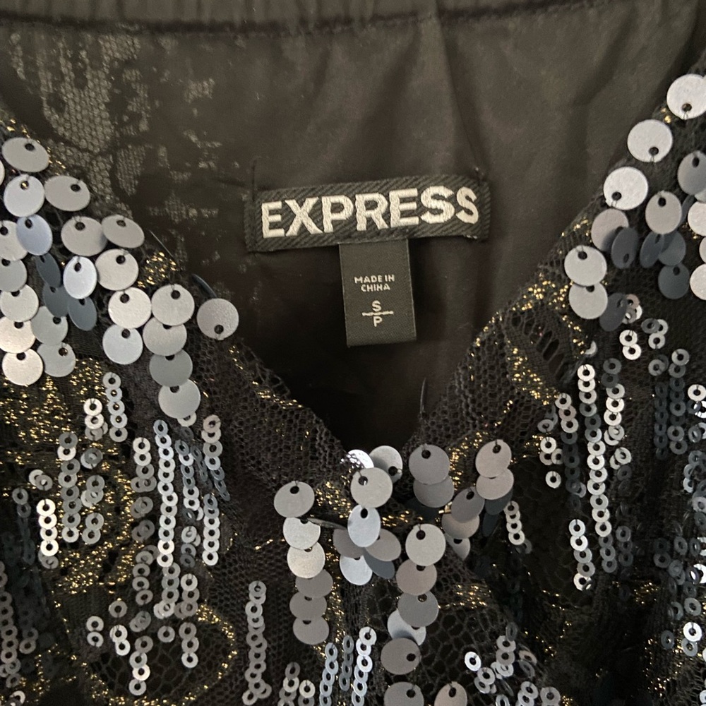 Express Dress - Picture 3 of 5